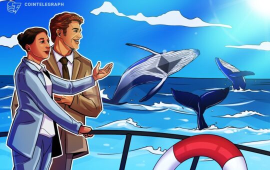 Ethereum whales post strongest net buying since 2018
