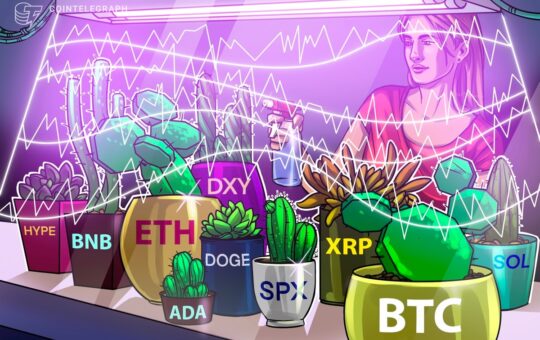 Altcoins Chase New Highs After Bitcoin Hits $123,000