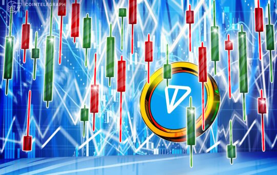 TON Coin Erases Some Gains After Golden Visa Clarification