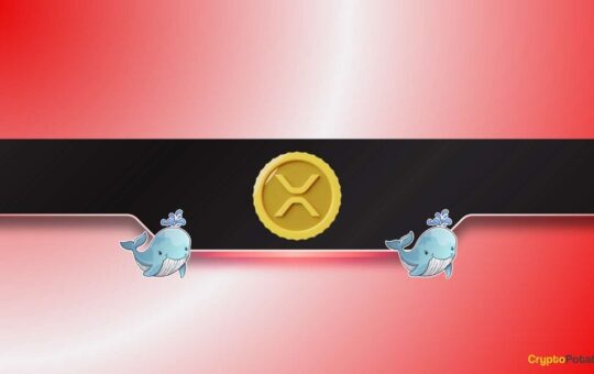 Whales Bought the XRP Dip While DOGE Hits Key Accumulation Zone: Details