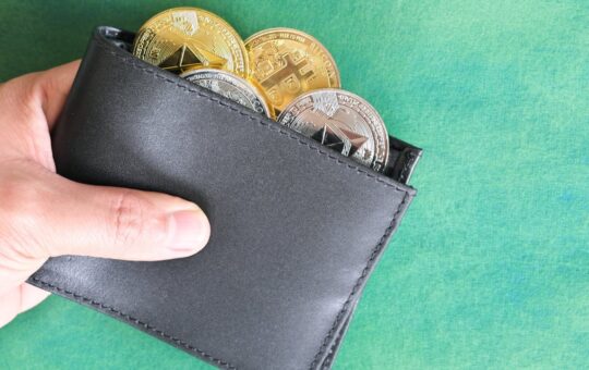 Gemini Launches Self-Custody Wallet With Passkey Tech and Web3 Integration