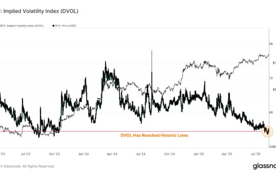 Bitcoin DVOL Index