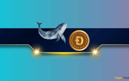 Massive DOGE Whale Activity Hints at $1 Breakout