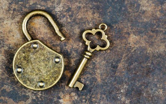 APT, SOL, TRUMP Lead the Pack