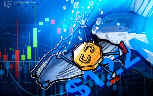 Whale Withdraws $122M Hype Ahead Of $11.9B Team Unlock