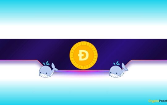158,000,000 DOGE Bought by Whales – What’s Happening?