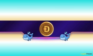 Is Dogecoin Gearing up for Further Rally?
