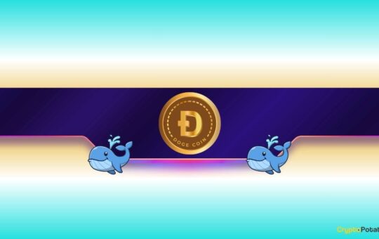 Is Dogecoin Gearing up for Further Rally?