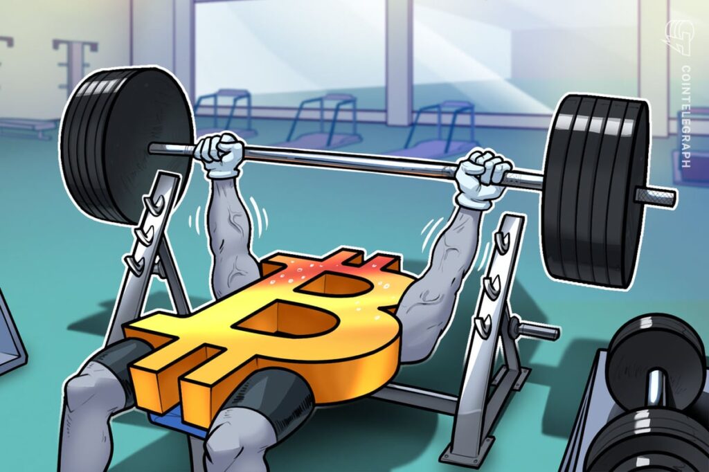 BTC Liquidation Data Could Push Price to New Highs: Analyst