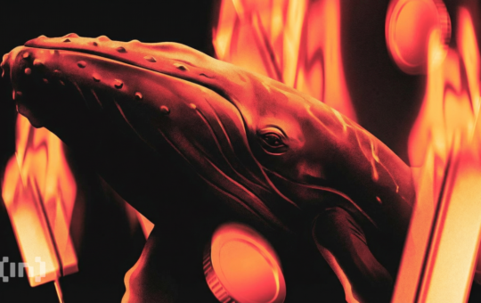 Smart Money Buys Cardano While Retail Exits: What It Signals