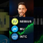 Memory Stocks to BUY During The Dip