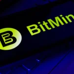 Bitmine Ethereum Holdings Reach 4.8% of Total ETH Supply