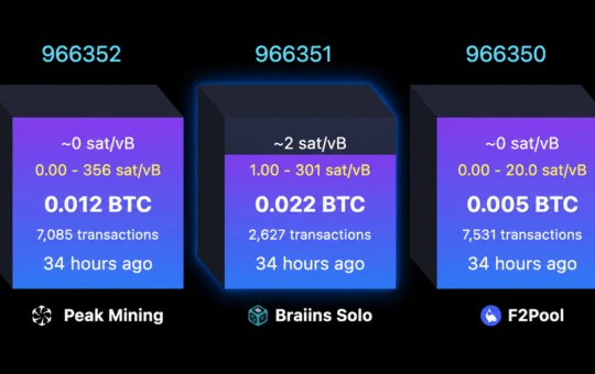 Solo Bitcoin Miner Hits $244K Jackpot After Nearly 40-Day Drought