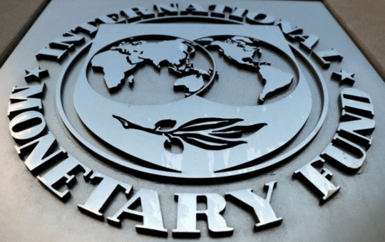 IMF Warns $65 Billion Tokenization Market Has a Dangerous Catch